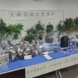 【熊本】「大麻のような臭いが…」マンションでの大麻栽培容疑で40代男を再逮捕 1000万円相当を押収