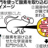 イグ・ノーベル賞に「哺乳類が肛門を使って呼吸する仕組み」…日本の研究者、１８年連続受賞