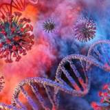 【科学者たちは、この夏、新型コロナウイルス感染症の波がきそうだと警告】オミクロン株の亜系統（遺伝子配列が異なるウイルス）のFLiRT（フラート）がアメリカで広がっている