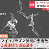 【今年に入ってからの患者数の累計、10代以下が90%以上】東京都　マイコプラズマ肺炎の患者数が2週連続　過去最多