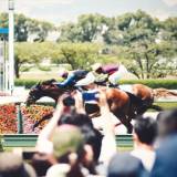 【ギャンブル】競馬で1300万円大当たり→税務署にバレて200万円追徴課税！妻激怒