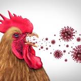 【鳥インフルエンザのパンデミックが宣言された場合】 専門家「ウイルスの致死性（普通のヒトインフルの1000倍）の高さからマスクの着用やワクチンの接種、さらに安全ゴーグルの装着といった予防対策が必須になる」