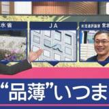 【コメ不足】コメの品薄いつまで続く？　農水省・JA・専門家の見解は「9月」…2つの理由