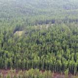 【大気汚染（ＰＭ２・５）による健康被害】シベリアで大規模な森林火災なら、日本でも年間死者２万人以上増・・・北海道大と東京大の研究