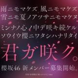 【櫻坂46】新メンバーオーディション開催決定