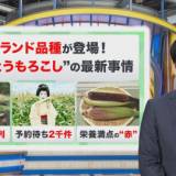 【食べ物】甘くてメロン超え!? 今年の夏はとうもろこしブーム到来・・とうもろこしが今アツい