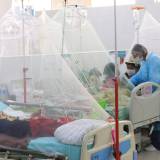【中南米でデング熱の歴史的大流行が発生】８１０万人が感染、３６００人死亡・・・ＷＨＯのラマン・ベラユダン博士は、世界人口のほぼ半分がデング熱感染のリスクにさらされていると警告