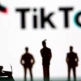 【アメリカ】ＴｉｋＴｏｋ（ティックトック）禁止法巡る訴訟で口頭弁論・・・米司法省 「中国企業が所有するティックトックが多数の米国民の個人情報を入手し、これらを操作できるので、安全保障上の脅威」