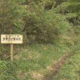 「道に迷ったかもしれない」日本コバに山登りしていた70代男性が行方不明「近くで木を切る音…」と妻への連絡最後に…29日朝から捜索　滋賀・東近江市