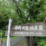 【福島地裁】「抵抗できない弱い相手だったので、繰り返し暴力を振るった」　障害者施設で患者に１年以上暴力をふるい続け、動脈損傷などの大けがをさせた職員が初公判で供述