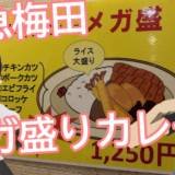 大阪梅田で「激安メガ盛りカレー」をVTuber日雇礼子が食レポ！ カツやコロッケ全部乗せ＆ルーのお代わり無料で“1250円”のお味とは？