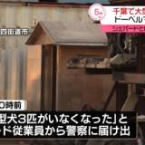 【速報】逃げ出したドーベルマンなど大型犬3頭が戻る　千葉・四街道市