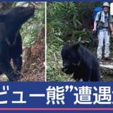 【クマ】登山客の目の前に“クマ出現” どうする？人気避暑地・上高地も…「刺激しないで」