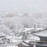 【11月の積雪量としては100年に及ぶ観測史上最多を記録】韓国で記録的大雪 3人死亡・・・ソウル市内40センチ、ソウル以外では45センチ近く積もった所も