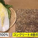 【世界初】“食べられるコンクリ” 100％食品廃棄物から作る新素材 白菜だったら強度はコンクリートの4倍