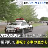 【栃木】体長約70cmのアメリカンピットブルテリア2匹逃げる　警察は付近の見回り強化