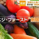 【健康】野菜から食事「ベジ・ファースト」厚労省が報告書から削除　「効果なし？」動揺広がる