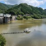 ダムの水量が台風１０号の雨で一気に回復　耶馬渓ダムの「節水」解消　大分