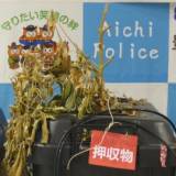 【社会】 郵便物から大麻草　差出人とみられる27歳の男を逮捕　発送するも受取人が現れず保管期限が過ぎる　愛知