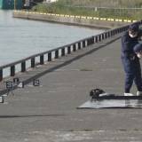 【事件】海に投げ落とされたか　20歳の男性が転落し死亡　警察で経緯調べる　静岡・焼津市