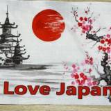 【沖縄】外国人女性が那覇で『I Love Japan』の旗、500円でしつこく売りつける！観光客困惑