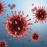 【全米で新型コロナウイルスの感染者数が急増】直近1週間で陽性率は1.4％、救急外来受診率は23.3%、入院率は25％、死亡率は14.3％上昇・・・なぜ夏になって感染者が増えているのかと困惑する声も多く聞かれる