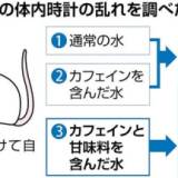 【研究】「甘いカフェイン」摂取、体内時計乱れる恐れ　１日のリズムが２６～３０時間周期と乱れ、昼夜逆転に陥るケースも