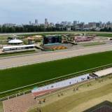 【北海道】競馬場に野生のシカ侵入で警察に通報…札幌競馬場パークウインズは一部施設制限＆イベント中止