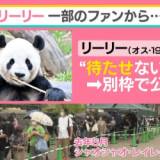 【上野動物園】パンダ2頭が中国へ返還…パンダのレンタル代はどれくらい？「年1億円を中国に支払っている」