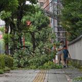 【台風】10号上陸、宮崎や鹿児島など31人けが　暴風・大雨長引く