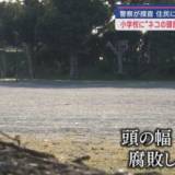 【静岡・袋井市】小学校のグラウンドに腐敗した猫の頭　数十メートル離れた場所では同じ猫の胴体が　何者か切断して捨てたか？