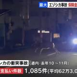 保険金支払いが過去最高の６億7000万円　2023年秋の２か月間における車とエゾシカの衝突事故　　北海道