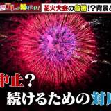 【夏の風物詩】相次ぐ花火大会の中止　花火の価格や運営費の高騰が深刻　打開策は「有料席の導入」