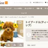 【動物】”幼過ぎるペットを販売”疑惑…ペット業界大手「ペッツファースト」子犬の「死亡事故件数」で「大ウソ」を発表していた