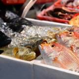 あのウコン飲料に鮮魚販売、学習塾も…知られざる旧統一教会系企業のビジネス展開「日本は教団が世界で保有する富の最大の資金源」